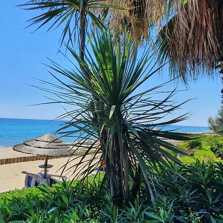 T2 Les Pieds Dans L Eau Avec Piscine San-Nicolao